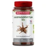 Superdiet harpagophytum bio 90 gélules