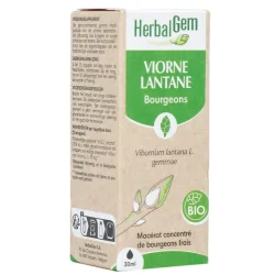 Herbalgem Viorne bourgeon Bio 30ml
