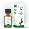 Institut Maloé Huile Essentielle Bio Tea Tree - 10 ML