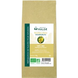 Institut Maloé Plantes Sèches Bouillon Blanc Bio - 40 GR