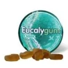 TILMAN eucalygum Gomme Pectorale A Sucer Avec Sucre 40g