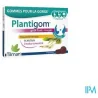 TILMAN plantigom fruits rouges 24 GOMMES